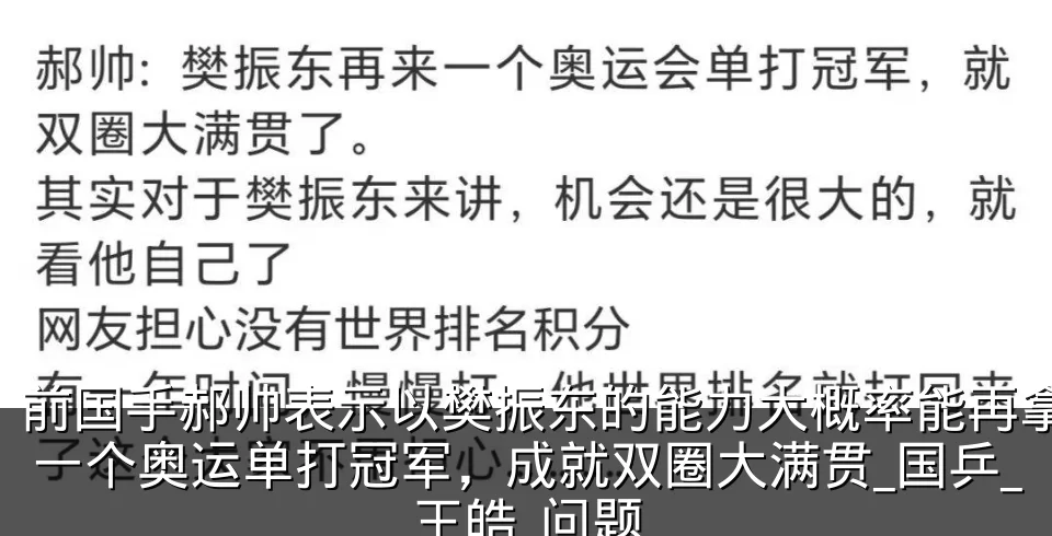 前国手郝帅表示以樊振东的能力大概率能再拿一个奥运单打冠军，成就双圈大满贯_国乒_王皓_问题
